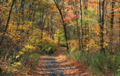 Appalachian-Trail